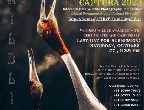 CAPTURA-2023  DIGITAL DOCUMENTATION OF ANIMAL DIVERSITY