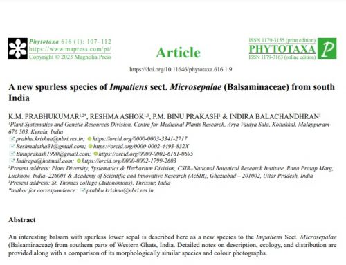 A new spurless species of Impatiens sect. Microsepalae (Balsaminaceae) from south India