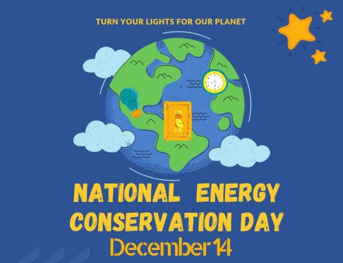 National energy conservation day