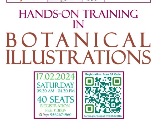 hands on training in botanical illustrations