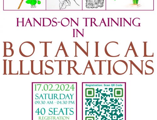 hands on training in Botanical illustrations