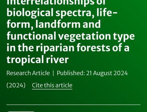 Interrelationships of biological spectra, life-form, landform and functional vegetation type in the riparian forests of a tropical river