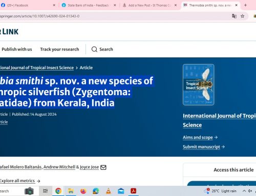 Thermobia smithi sp. nov. a new species of synanthropic silverfish (Zygentoma: Lepismatidae) from Kerala, India