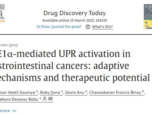 IRE1α-mediated UPR activation in gastrointestinal cancers: adaptive mechanisms and therapeutic potential