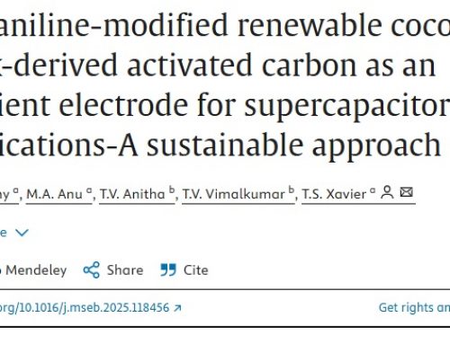 Polyaniline-modified renewable coconut husk-derived activated carbon as an efficient electrode for supercapacitor applications-A sustainable approach