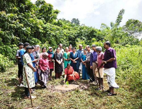 Endangered Plant Conservation Drive