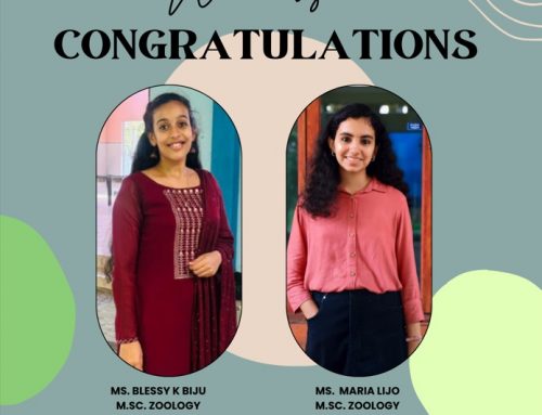 Congratulations