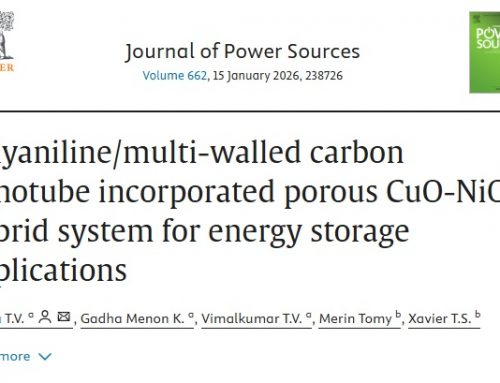 Polyaniline/multi-walled carbon nanotube incorporated porous CuO-NiO hybrid system for energy storage applications