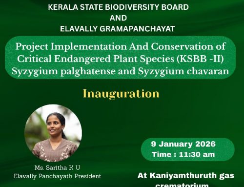 Project Implementation And Conservation of Critical Endangered Plant Species (KSBB -II) Syzygium palghatense and Syzygium chavaran