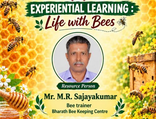 EXPERIENTIAL LEARNING: Life with Bees