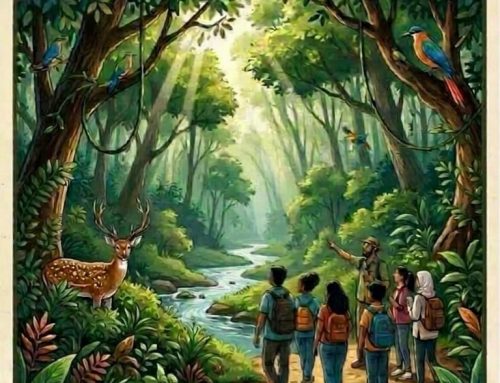Forest Immersion Visit