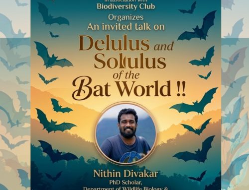 Invited Talk
